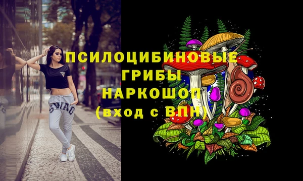 спайс Беломорск