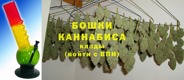 2c-b Белокуриха