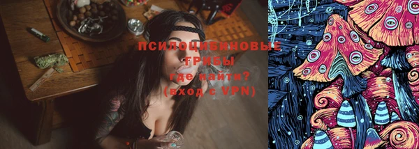 2c-b Белокуриха