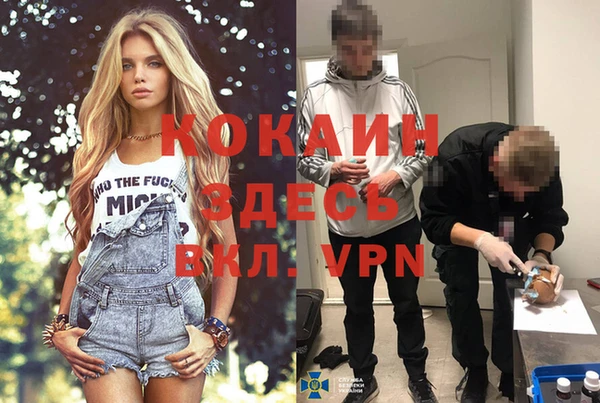 спайс Беломорск