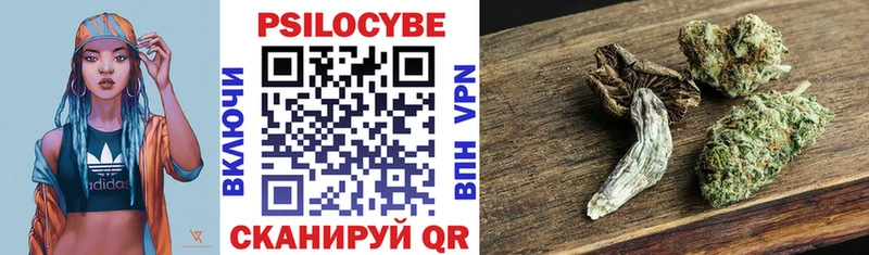 Псилоцибиновые грибы GOLDEN TEACHER  Лыткарино 